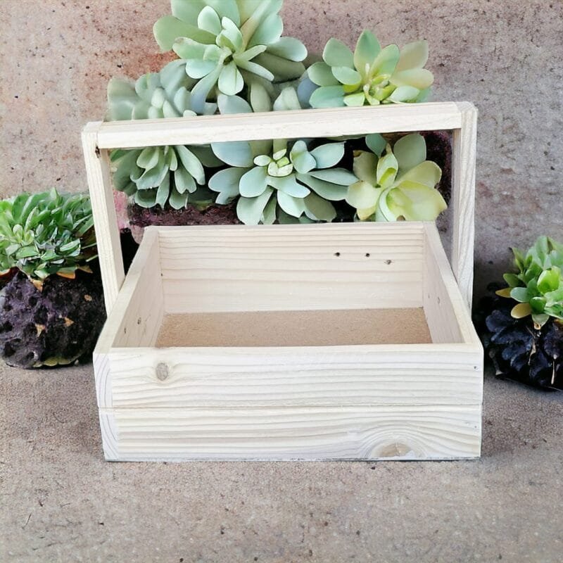 Pine wood tray 8x8 inches for Decoration or Gifting - Image 4
