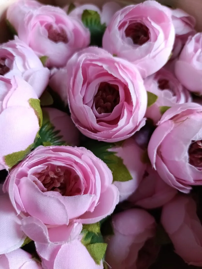 Baby pink peony flower pack of 50