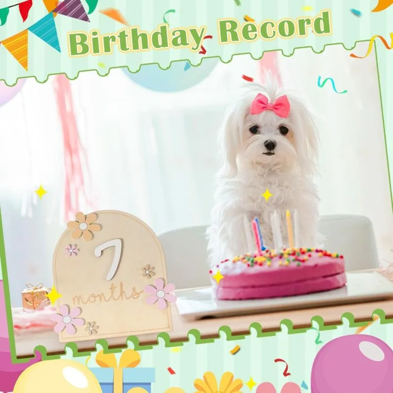 Baby Monthly Milestone Cards & Blocks (Set of 12) - Image 6